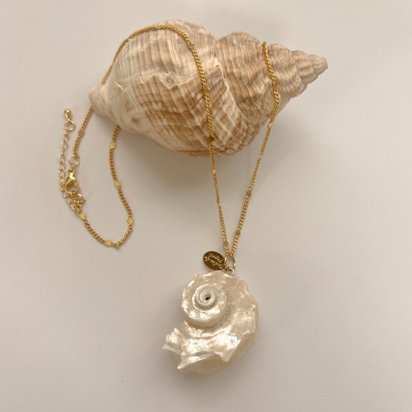 Caracol del Mar Necklace