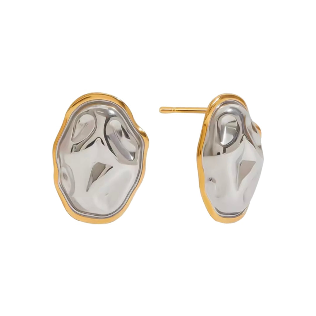 Silver Gold Earrings