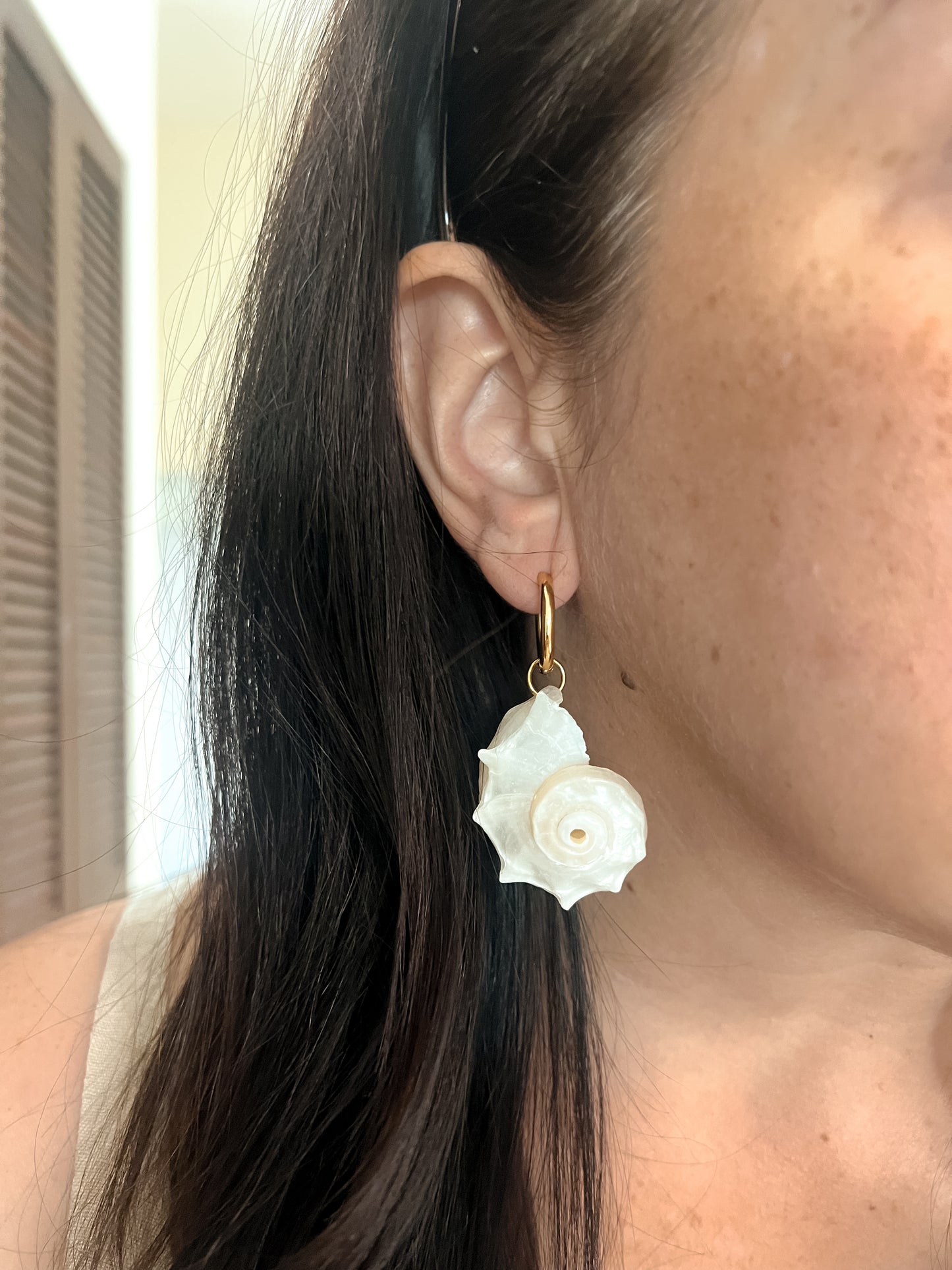 Caracol Earrings Hoops