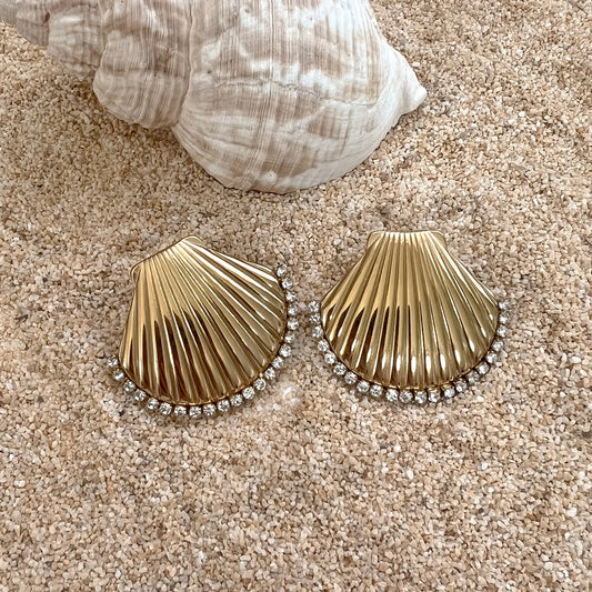 Shell Earrings