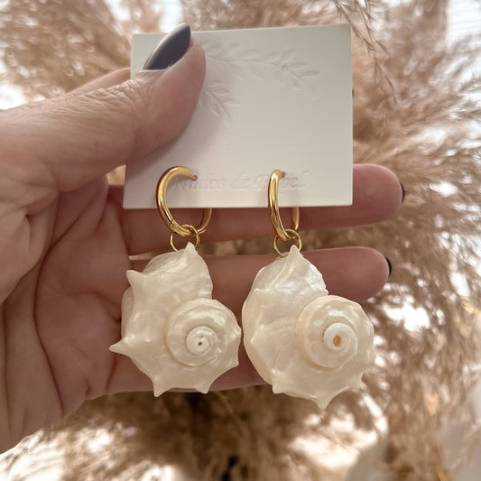 Caracol Earrings Hoops