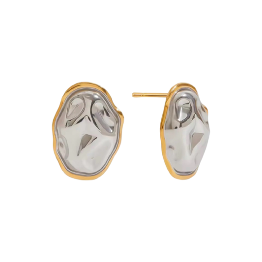 Silver Gold Earrings